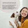 Hundematte-LEO 118x89x10cm Anthrazit Bild 2