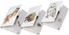 PAGNA Aufbewahrungsbox Pagna SammelboxA4 Save me No. 2 Gummizugverschluss sortiert Bild 1