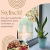 GarPet Blumentopf 4x Orchideentopf Transparent Orchideen Über Topf Innen 16 glas Bild 3