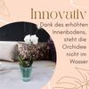 GarPet Blumentopf 4x Orchideentopf Transparent Orchideen Über Topf Innen 16 glas Bild 5