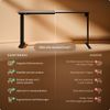 Desktronic HomeOne Elektrisch höhenverstellbarer Schreibtisch 160x80cm Schwarz/Grau mit Memory-Funktion, Anti-Kollisions Technologie, USB-A und USB-C-Ladeanschlüssen Bild 5