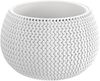 Prosperplast Pflanzkübel Splofy Bowl, ØxH: 29x19 cm Bild 2