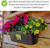 Blumentopf Wand Pflanzenhalter Wandblumentopf Blumenkasten Outdoor Blumenhalter Wand Pflanzen Wandhalterung Blumentopf Wandmontage Wandblumenkasten Wandtopf Anthrazit Bild 4