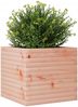vidaXL Pflanzkübel 50x50x45,5 cm Massivholz Douglasie 847246 Bild 4