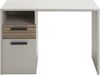 Composad Schreibtisch BRAVO - Büro & Kinderzimmer in Chasmere topmatt-Strippedwood Bild 1