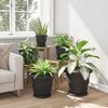 vidaXL Blumentöpfe 6 pcs Schwarz Ø 34 x 28 cm Kunststoff 3403278 Bild 4