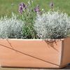 Balkonkasten Line antik ca. 30×19×16 cm – dekorativer Pflanzkasten mit Drainageloch für Blumen und Kräuter geeignet für Balkon Fensterbank und Terrasse Bild 2