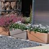 Balkonkasten Line antik ca. 30×19×16 cm – dekorativer Pflanzkasten mit Drainageloch für Blumen und Kräuter geeignet für Balkon Fensterbank und Terrasse Bild 3