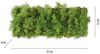 JUST LIGHT 15637-66 GREEN CARLO LED Wandleuchte moos eckig Bild 5