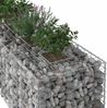 vidaXL Gabionen Hochbeet 2 pcs Silber 340 x 60 x 55 cm 3422230 Bild 4