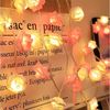 MUPOO LED-Lichterkette LED Nachtlicht 3M 20LEDs Girlande,Kunstblume Rose Warmweiß,Batterie, für Party Weihnachten,Blumengirlande Rose,LED Dekolicht Bild 3