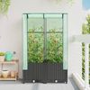 vidaXL Hochbeet mit Gewächshaus-Aufsatz Rattan-Optik 80x40x138 cm 4015814 Bild 3