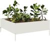 vidaXL Hochbeet Weiß 100x100x41 cm Stahl 851032 Bild 3