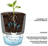OSTWOLKE Kräutertopf mit Selbstbewässerung Blumentopf Fensterbank Kräutergarten 3er Set, Pflanzentopf Plantpot Bild 2