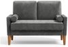 ToteBox 2-Sitzer 121CM Kleine Samt Sofa mit 2 Kissen für Wohnzimmer, Schlafzimmer Bild 2
