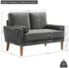 ToteBox 2-Sitzer 121CM Kleine Samt Sofa mit 2 Kissen für Wohnzimmer, Schlafzimmer Bild 3