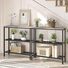 HOOBRO Schmaler Konsolentisch 2 Ablagen Metallgestell Industrie-Design Bild 2