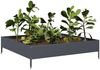 vidaXL Hochbeet Anthrazit 100x100x26 cm Stahl 851019 Bild 3