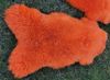 Provellus Fellteppich Öko Lammfell Schaffell Orange Mandarine Echtes Fell L-XL, 80cm - 100cm Bild 3