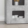 vidaXL Sideboard ELST Beton Grau 100 x 35 x 59 cm Holzwerkstoff 891347 Bild 5