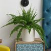 KAGM Pflanzkübel Blumenkübel Blumentopf in Rillenoptik rund 3 Farben 3 Größen (inkl. Pflanzeinsatz) Bild 1