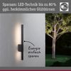 Paulmann 94743 LED Außenwandleuchte Stan seewasserresistent 600mm anthrazit Bild 3