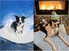 Agger Hundematte kühlmatte Hund, Waschbar kühlmatte für Hunde, Selbstkühlende Pads für Hunde Katzen im heißen Sommer Bild 3