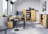 Germania GW-PROFI 3.0 Aktenschrank 4247, Graphit/Grandson-Eiche-Nb, 80 x 123 x 40 cm (BxHxT) Bild 5