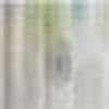 HOME WOHNIDEEN Vorhang RAWLINS (1 St), Schlaufen, transparent, Microfaser, Schal aus Voile bedruckt Bild 4
