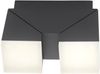 RYAN Paul Neuhaus Wand- und Deckenleuchte, anthrazit 2xLED-Board 5W 3000K Aussenleuchte, IP54 Bild 5