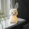 LED Nachtlicht ,Functional Bunny', Batterie, Timer, warmweiß und bunt, 20cm Bild 2