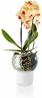 Eva Solo Orchideentopf Frosted glass 15 cm Bild 2
