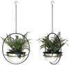 DanDiBo 2er Set Blumenampel Innen Metall Wand Hängepflanzen 78 cm 96087 L mit Topf Silber Pflanzenhänger Blumenhänger Topfhänger Blumen Blumentopfhänger Hängetopf Bild 4