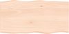 vidaXL Tischplatte 100x50x2 cm Massivholz Eiche Unbehandelt Baumkante 363884 Bild 2