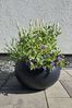 VIVANNO Blumentopf Fiberglas MORINO Rund - Anthrazit Matt (1 St), 45x21 cm Bild 3