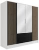 ALTDECOR Drehtürenschrank NELIA (Kleiderschrank Garderobenschrank mit viel Stauraum, Moderner Schrank) Vielseitiger Drehtürenschrank mit Spiegeltüren Spiegel Lamellen Bild 4