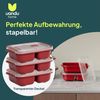 uandu home Frischhaltedose Frischhaltedosen mit Deckel, Mikrowellen Geschirr, BPA Frei Plastikbox, (Set, 3er Set), Vorratsdosen Luftdicht Set, Meal Prep Boxen Bild 3