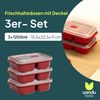 uandu home Frischhaltedose Frischhaltedosen mit Deckel, Mikrowellen Geschirr, BPA Frei Plastikbox, (Set, 3er Set), Vorratsdosen Luftdicht Set, Meal Prep Boxen Bild 2
