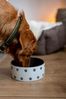 Nobby Hunde Keramiknapf PATA creme grau Ø 18x7 cm 1100 ml Bild 2