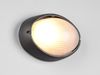 Außenwandleuchte TEMO Schwarz Fassadenbeleuchtung IP44 oval Breite 21,3cm Bild 3