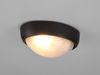 Außenwandleuchte TEMO Schwarz Fassadenbeleuchtung IP44 oval Breite 21,3cm Bild 5