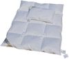 Hofmann Set Kinder Baby Ganzjahresdecke 100x135 + Kissen 40x60 100% Daunendecke Bild 2