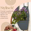 GarPet Blumentopf 2x Blumentopf Wand Blumen Topf Pflanzen Halterung 32 Anthrazit Rattan Bild 3