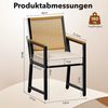 TLGREEN Gartenstuhl Rattan,Wetterfest, Balkonstuhl mit WPC Armlehne, (Outdoor Stuhl mit abnehmbar Kissen, Essstühle aus Metall, 2 St), bis 160 kg belastbar, für Terrasse, Garten, Balkon,Pool Bild 2