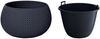 Prosperplast Pflanzkübel Splofy Bowl, ØxH: 37x21 cm Bild 2