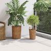 vidaXL Blumentopfkorb mit Speicher 2 Stk. Naturbraun Kubu Rattan 42020958 Bild 3