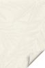 Lysel Outlet - Basisrollo Tageslicht Blätterranken, (B x H) 82.50cm x 190cm in beige/hellelfenbein Bild 2