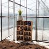 4er Set Holzkisten Weinkisten Obstkiste Klein Geflammt Regal aus Holz 40x30x25cm Bild 4