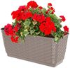 Annastore Blumenkasten Balkonkasten aus wetterfestem Kunststoff - Blumenkästen - Balkonkästen Bild 3