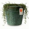 Teramico Pflanzkübel Pflanzgefäß "Round Plain" Moosgrün – Ø 18 cm – Klassischer Keramiktopf, 100% Frostfest Bild 2